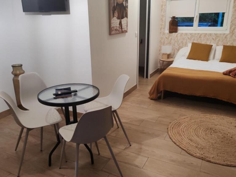Vue générale du studio avec lit et coin repas